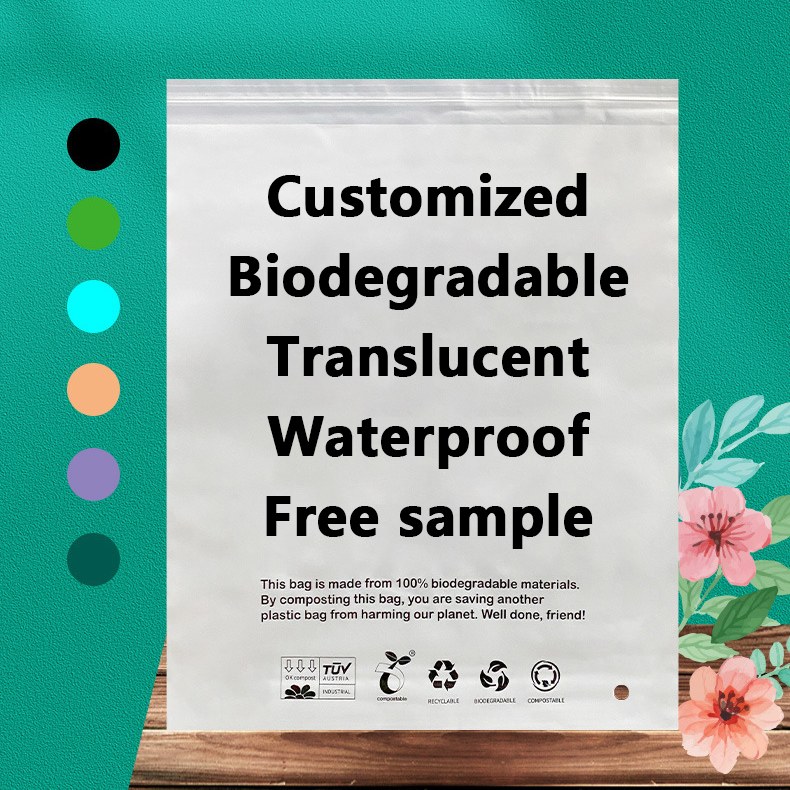 Zeal X Ngluncurake Tas Biodegradable PLA PBAT Berkinerja Tinggi kanggo Solusi Kemasan sing Sustainable ing saindenging jagad